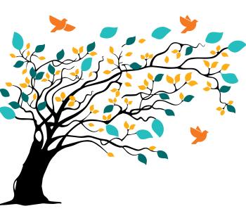 become_rooted_sands_family_ymca_community_campaign