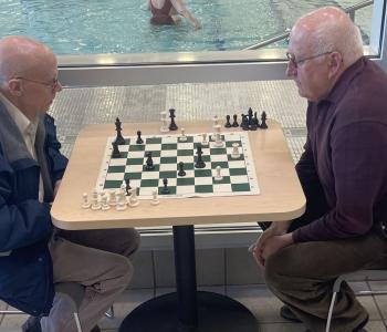 Fred & Dyzio - Chess