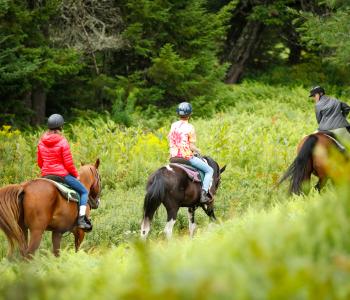 YMCA Camp Gorham, Brighton Partner to Send Kids to Camp