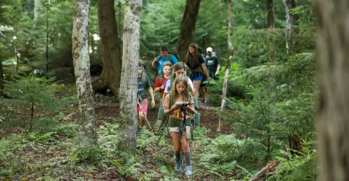 campers hiking in the woods